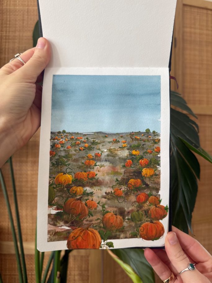 Eine handgehaltene Karte mit einem Feld voller orangefarbener Kürbisse unter blauem Himmel.