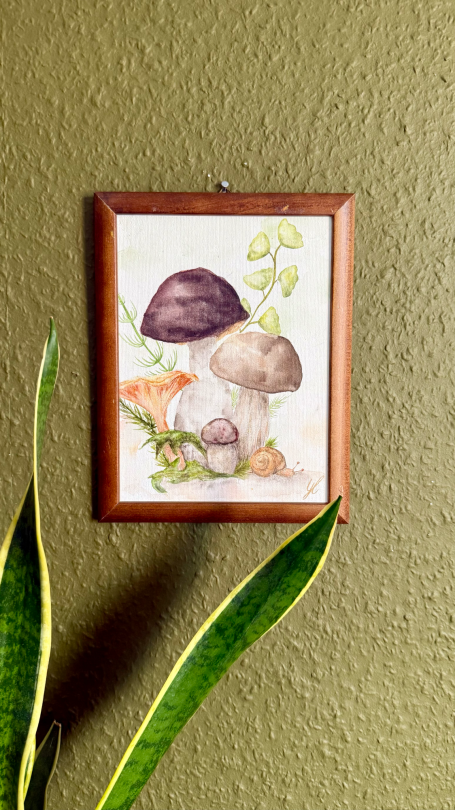 Wasserfarbenzeichnung von Pilzen in einem Holzrahmen, vor einer grünen Wand.
